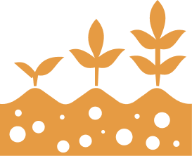 3. Подбор растений с учетом особенностей грунта