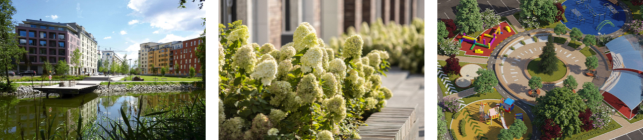 Высадите кустарники и деревья