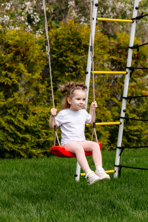 Детский спортивный комплекс для дачи ROMANA Богатырь Плюс 2 в Владикавказе ВИНКО