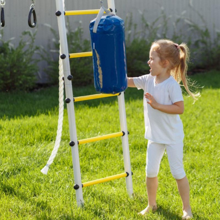 Romana Fitness-PRO Детский спортивный комплекс для дачи (Комплект №4)