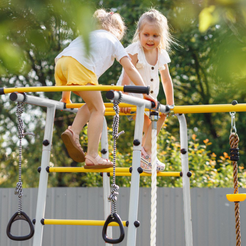 Romana Лесная поляна-3-PRO Детский спортивный комплекс для дачи (Комплект №2) в Владикавказе ВИНКО