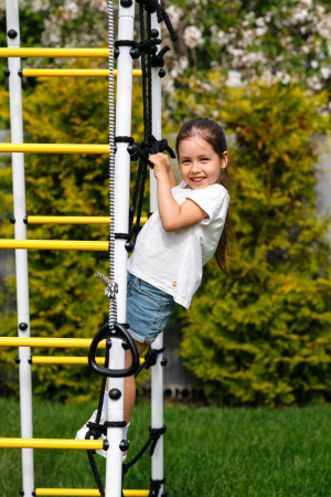 Детский спортивный комплекс для дачи ROMANA Богатырь Плюс 2 в Владикавказе ВИНКО