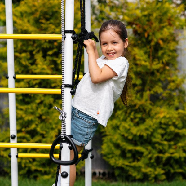 Детский спортивный комплекс для дачи ROMANA Богатырь Плюс 2 MAX в Владикавказе ВИНКО
