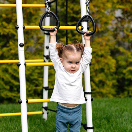 Детский спортивный комплекс для дачи ROMANA Богатырь Плюс 2 MAX в Владикавказе ВИНКО
