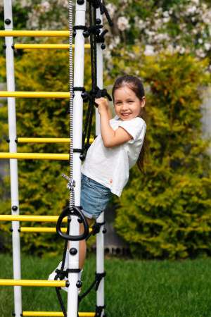 Детский спортивный комплекс для дачи ROMANA Богатырь MAX в Владикавказе ВИНКО